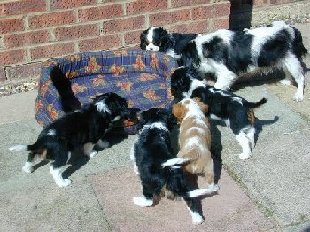 Trying to get a group shot